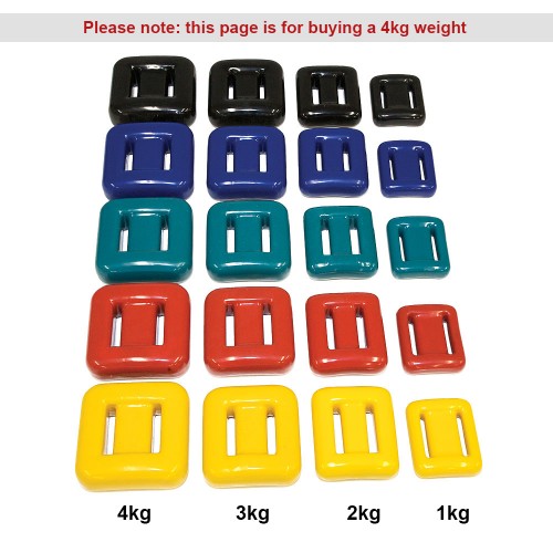 4kg Lead Coated Weight